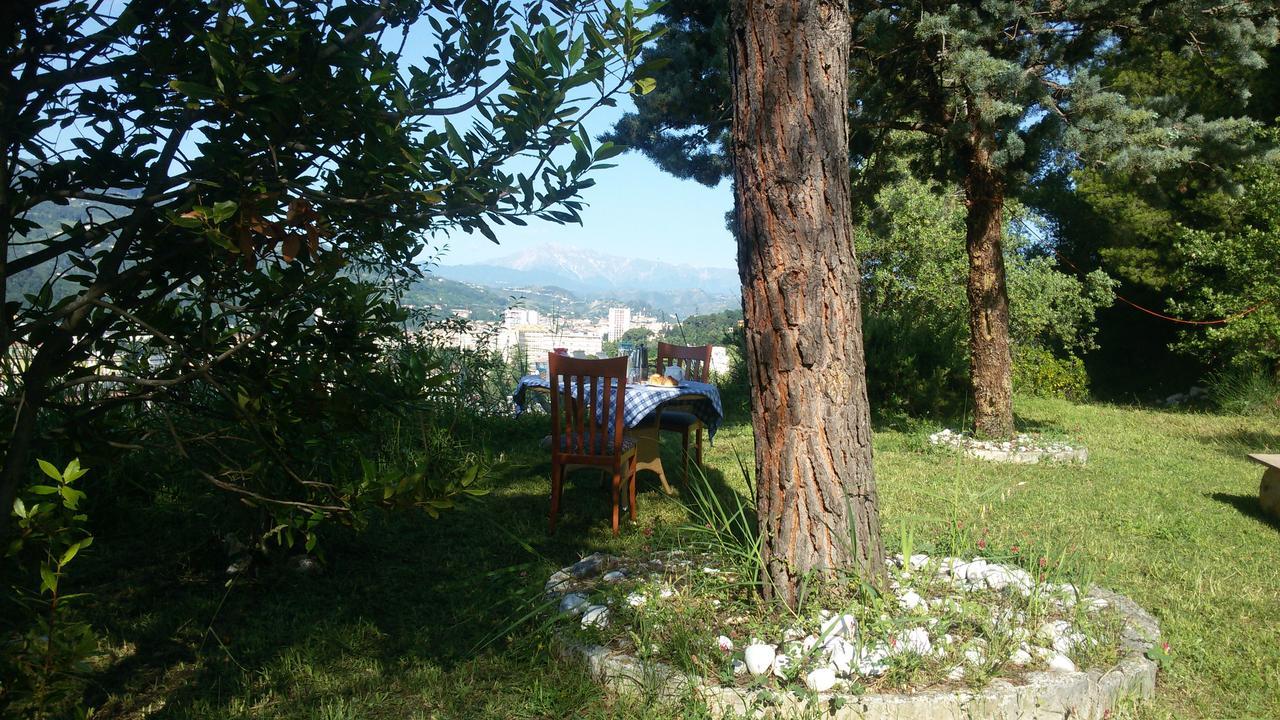 Parco Dei Gelsomini Bed and Breakfast Ascoli Piceno Buitenkant foto